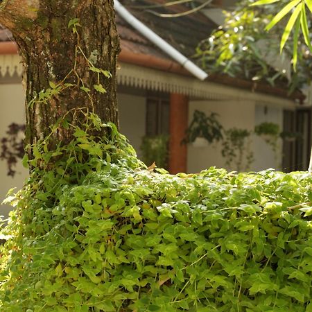 Mi Casa Tu Casa Homestay Kochi ภายนอก รูปภาพ